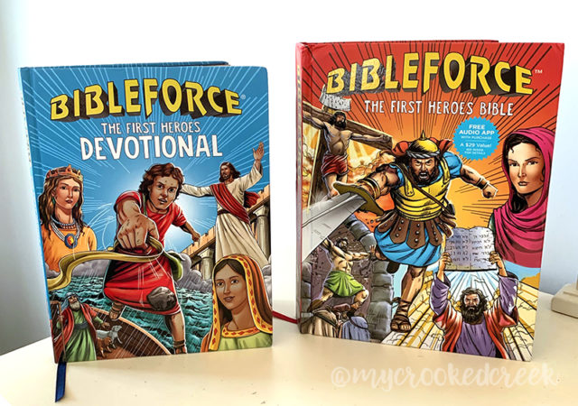 BibleForce Books