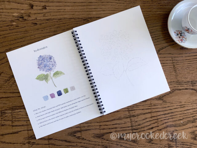 Simplified Watercolor Workbooks from Emily Lex