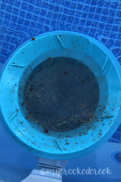 Skimmer in our above-ground pool